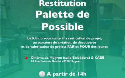 RESTITUTION PROJET PALETTES